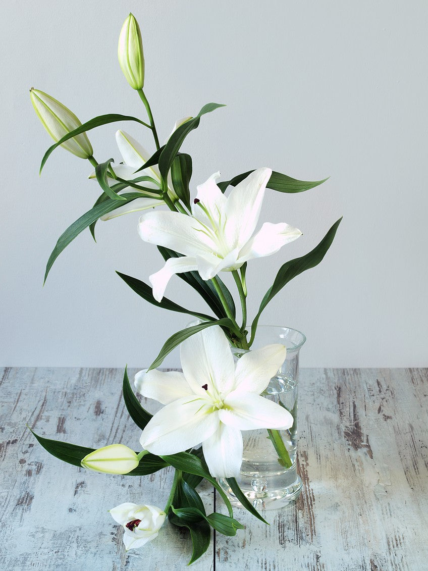 3 Stems of White Lilies