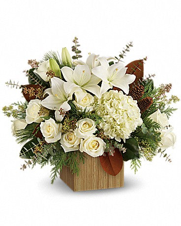 Snowy Woods Winter Arrangement – WARD'S FLORIST AND GREENHOUSE, Beverly MA