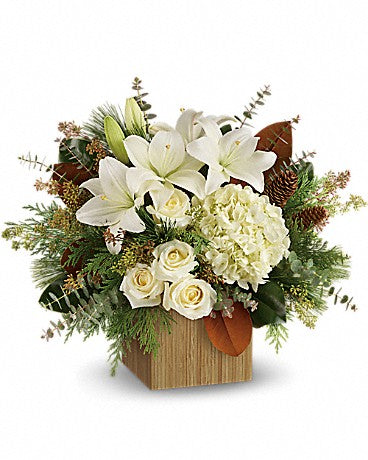 Snowy Woods Winter Arrangement – WARD'S FLORIST AND GREENHOUSE, Beverly MA