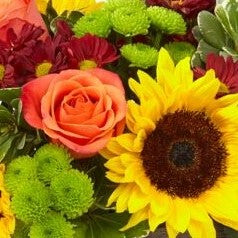 Florist Original Casket Spray Fall – WARD'S FLORIST AND GREENHOUSE, Beverly MA