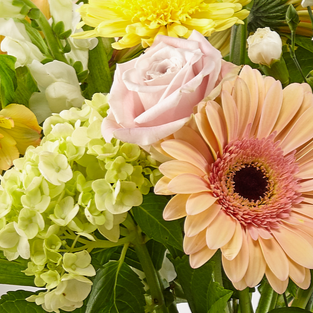 Florist Original Casket Spray Pastel – WARD'S FLORIST AND GREENHOUSE, Beverly MA