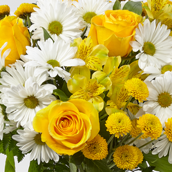 Florist Original Casket Spray Yellow and White – WARD'S FLORIST AND GREENHOUSE, Beverly MA