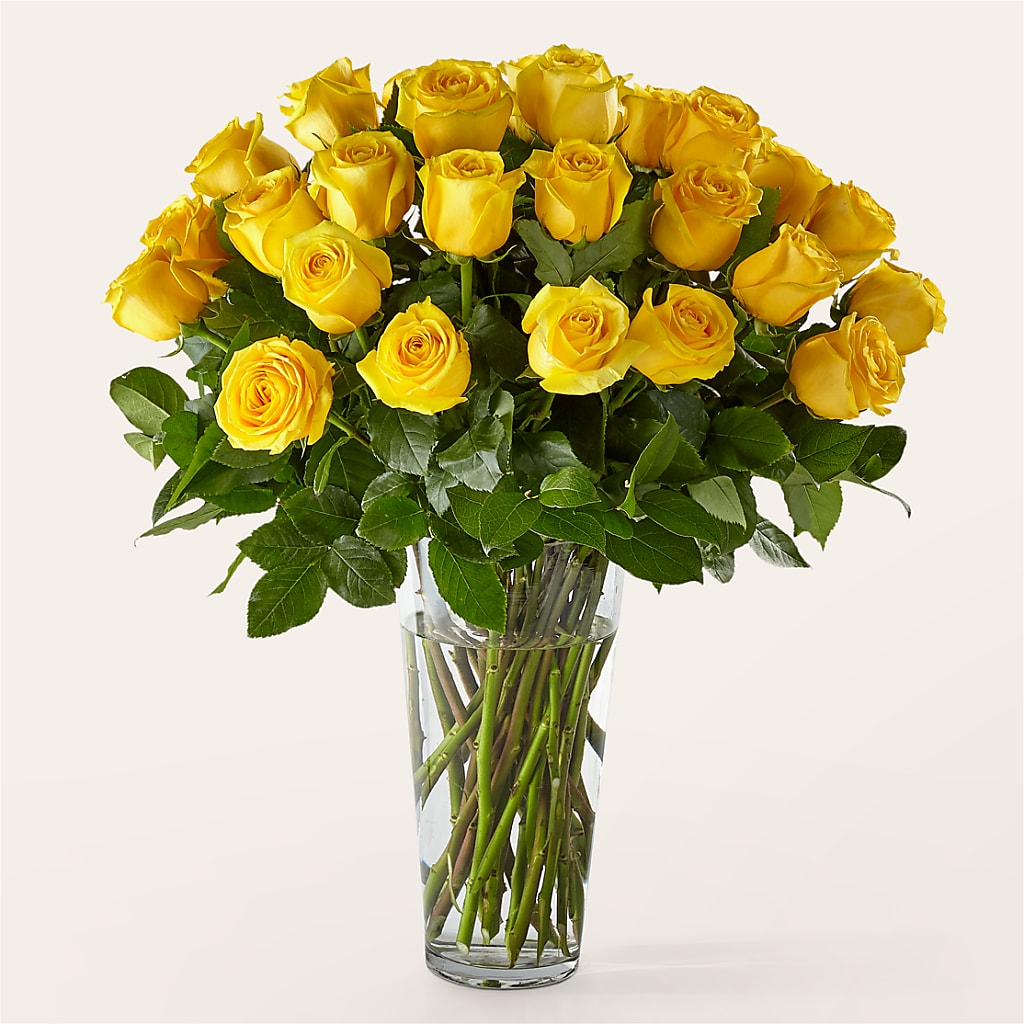 Long Stem Yellow Rose Bouquet – WARD'S FLORIST AND GREENHOUSE, Beverly MA