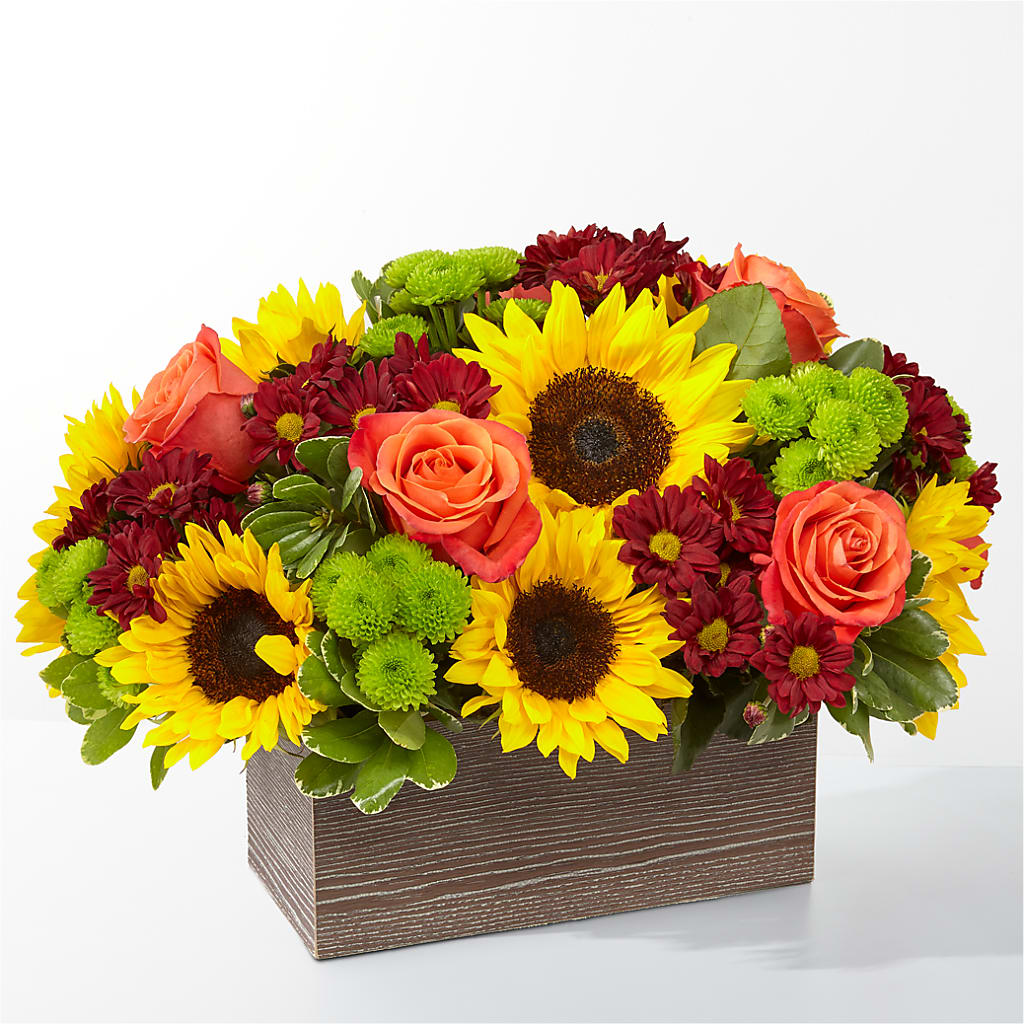 Happy Harvest Garden – WARD'S FLORIST AND GREENHOUSE, Beverly MA