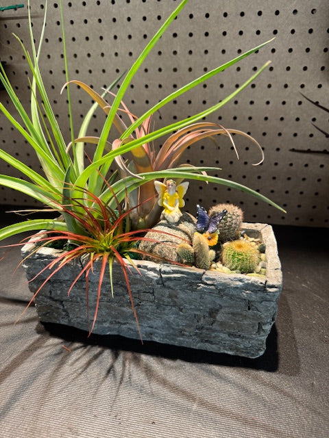 Desert Breeze Fairy Garden
