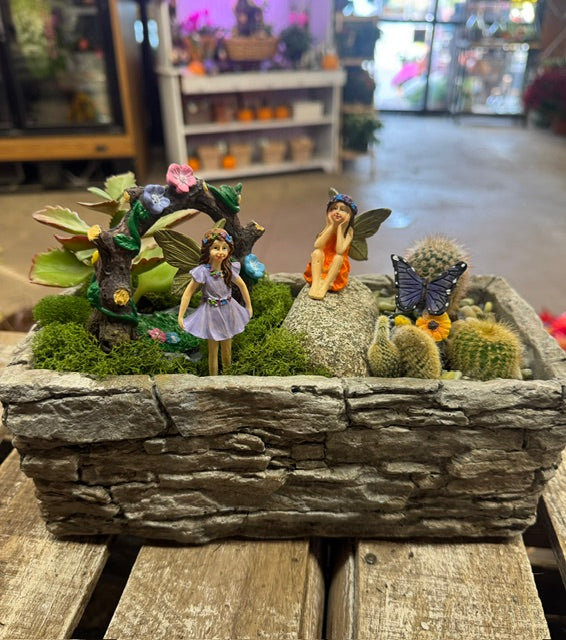 Enchanted Fairy Arbor Succulent Garden – WARD'S FLORIST AND GREENHOUSE, Beverly MA