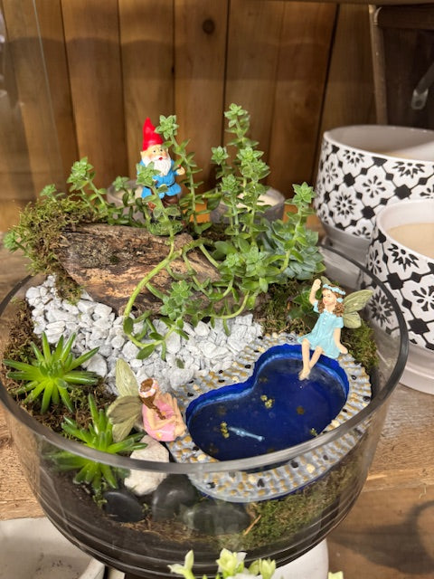 Enchanted Pond Fairy Garden with Gnome & Fairies