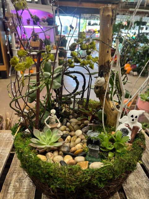 Spooky Halloween Fairy Garden – WARD'S FLORIST AND GREENHOUSE, Beverly MA