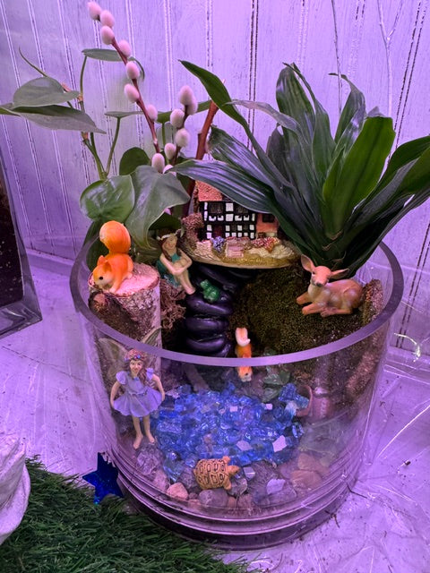 Fairy's Secret Waters Garden – WARD'S FLORIST AND GREENHOUSE, Beverly MA