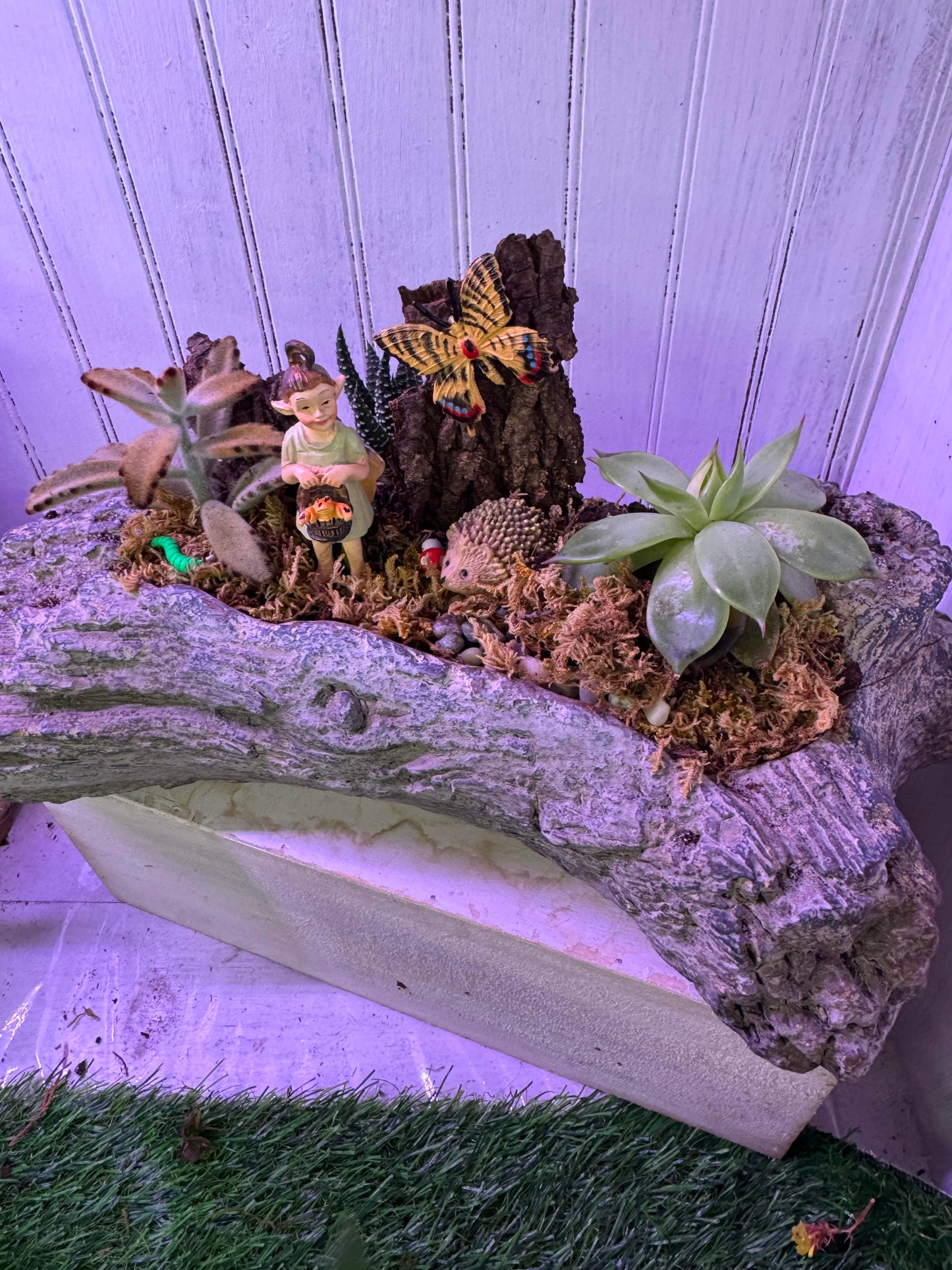 Fairy's Woodland Log Garden – WARD'S FLORIST AND GREENHOUSE, Beverly MA