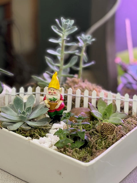 White Picket Fence Fairy Garden with Gnome & Hedgehog