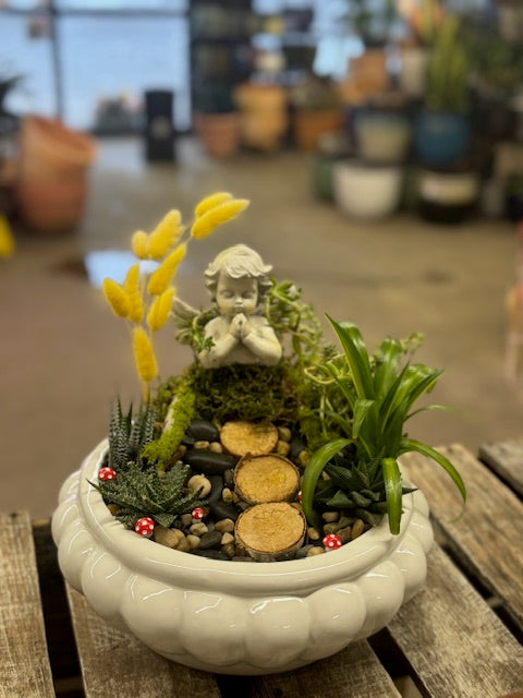 Serene Succulent Sympathy Garden