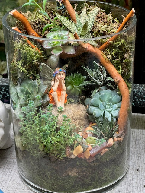 Willow Moss Fairy Garden in Glass Cylinder