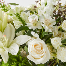 White Florist Original – WARD'S FLORIST AND GREENHOUSE, Beverly MA