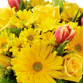 Yellow Florist Original – WARD'S FLORIST AND GREENHOUSE, Beverly MA