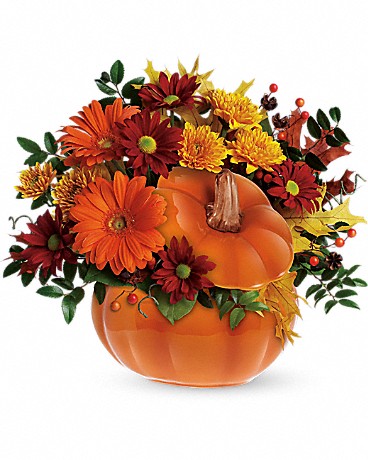 Country Pumpkin – WARD'S FLORIST AND GREENHOUSE, Beverly MA