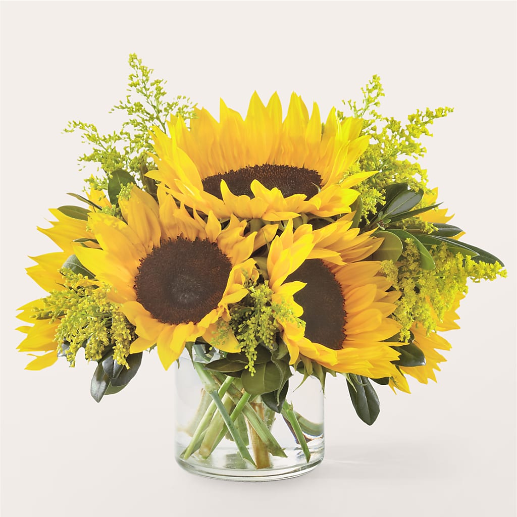 Beaming Sunflower Bouquet – WARD'S FLORIST AND GREENHOUSE, Beverly MA