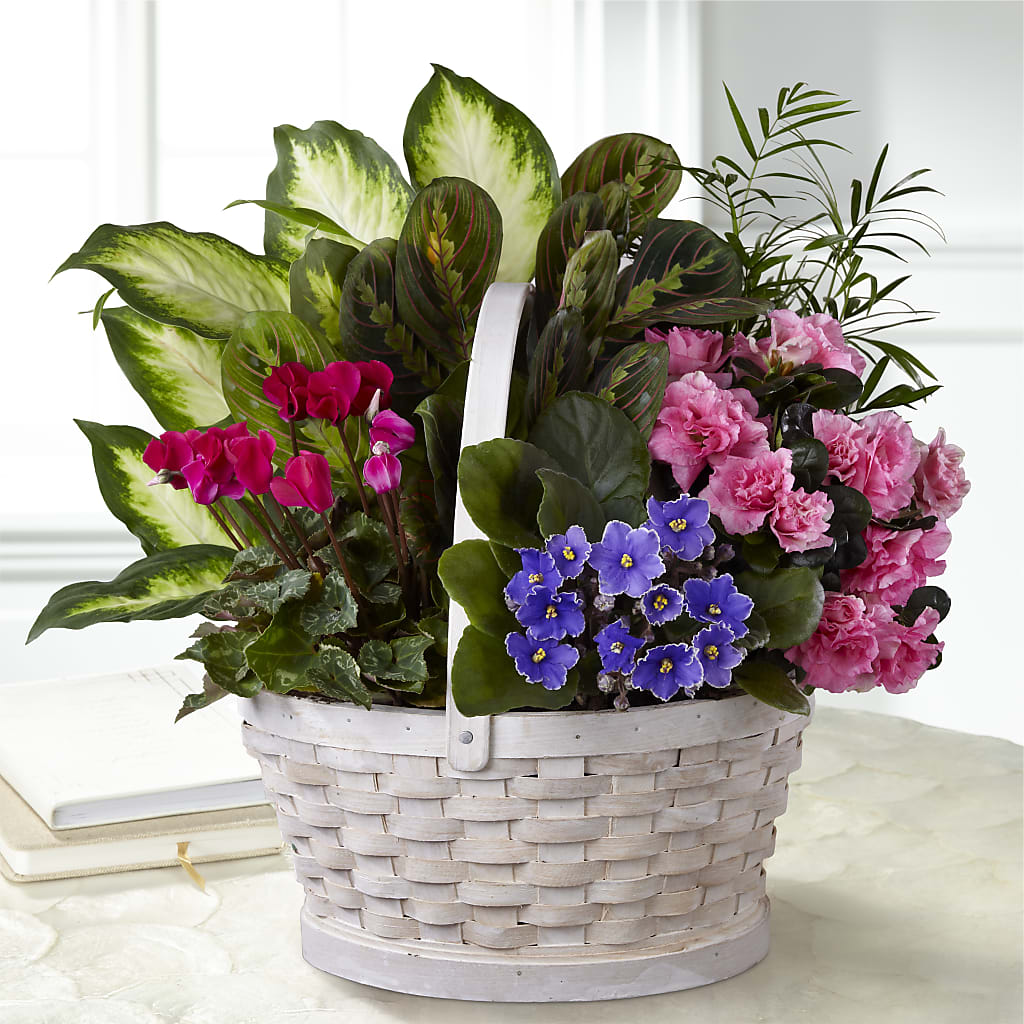 Peaceful Garden Planter – WARD'S FLORIST AND GREENHOUSE, Beverly MA