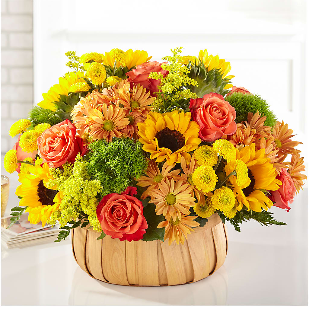 Harvest Sunflower Basket – WARD'S FLORIST AND GREENHOUSE, Beverly MA