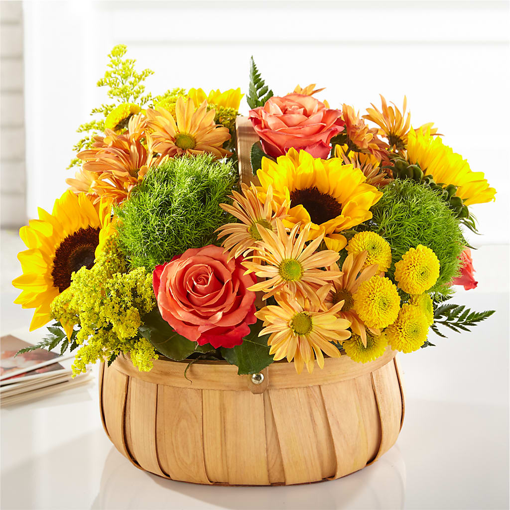 Harvest Sunflower Basket – WARD'S FLORIST AND GREENHOUSE, Beverly MA