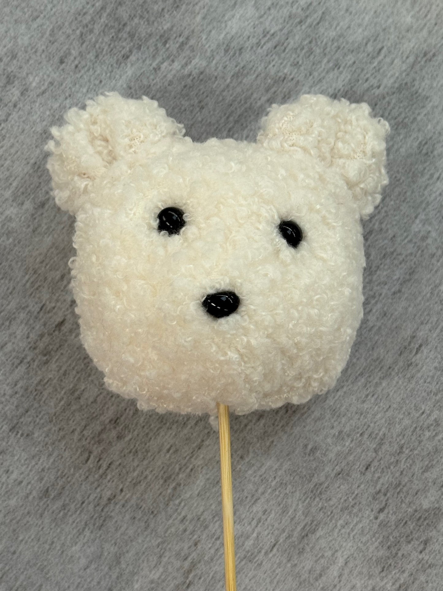 Cream Teddy Pick – WARD'S FLORIST AND GREENHOUSE, Beverly MA