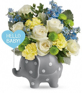 Hello Sweet Baby Elephant Boy