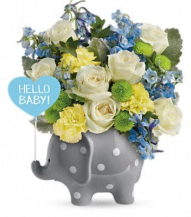 Hello Sweet Baby Elephant Boy