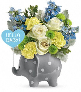 Hello Sweet Baby Elephant Boy