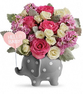 Hello Sweet Baby Elephant