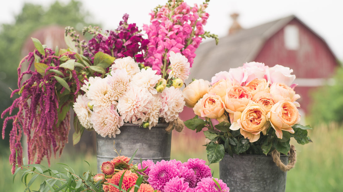 Unlocking the Language of Flowers: The Meaning Behind Popular Blooms at Ward's Florist in Beverly, MA