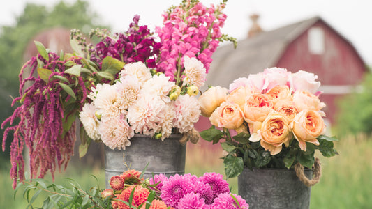 Unlocking the Language of Flowers: The Meaning Behind Popular Blooms at Ward's Florist in Beverly, MA