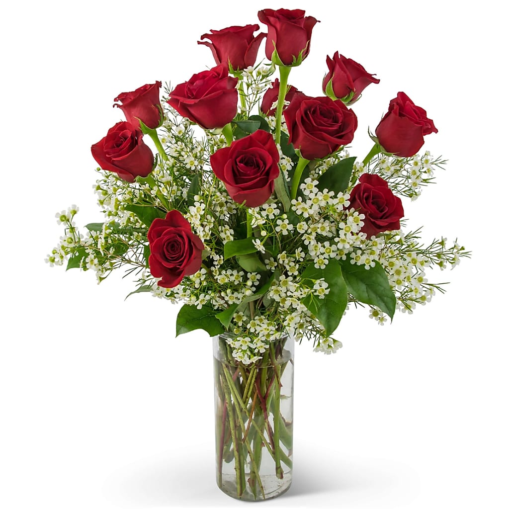 The Meaning of Different Colored Roses: Symbolism of Yellow, Pink, Red, White, Peach, Lavender & Orange Roses