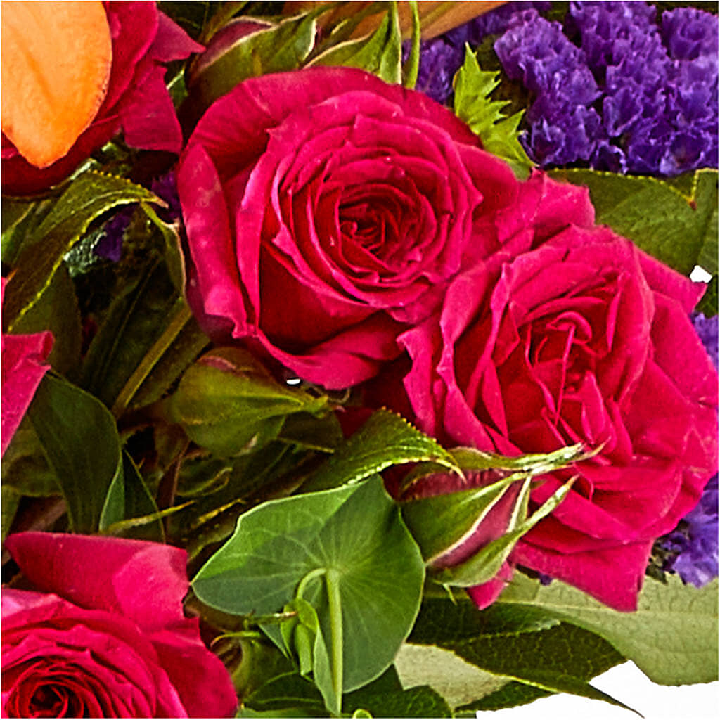 Birthday Palooza Bouquet – WARD'S FLORIST AND GREENHOUSE, Beverly MA