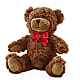 Adorable Plush Bear – WARD'S FLORIST AND GREENHOUSE, Beverly MA