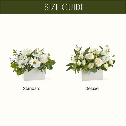 Fresh Linen Box Bouquet – WARD'S FLORIST AND GREENHOUSE, Beverly MA