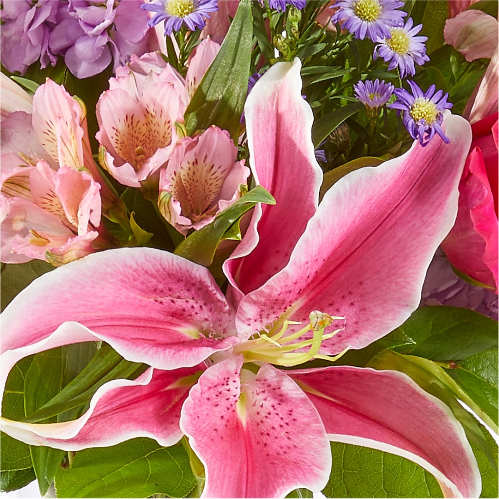 Written in the Stars Bouquet – WARD'S FLORIST AND GREENHOUSE, Beverly MA