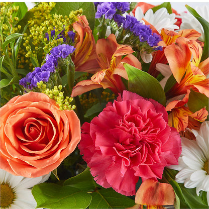 Oopsie Daisy Box Bouquet – WARD'S FLORIST AND GREENHOUSE, Beverly MA
