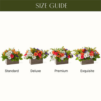 Oopsie Daisy Box Bouquet – WARD'S FLORIST AND GREENHOUSE, Beverly MA