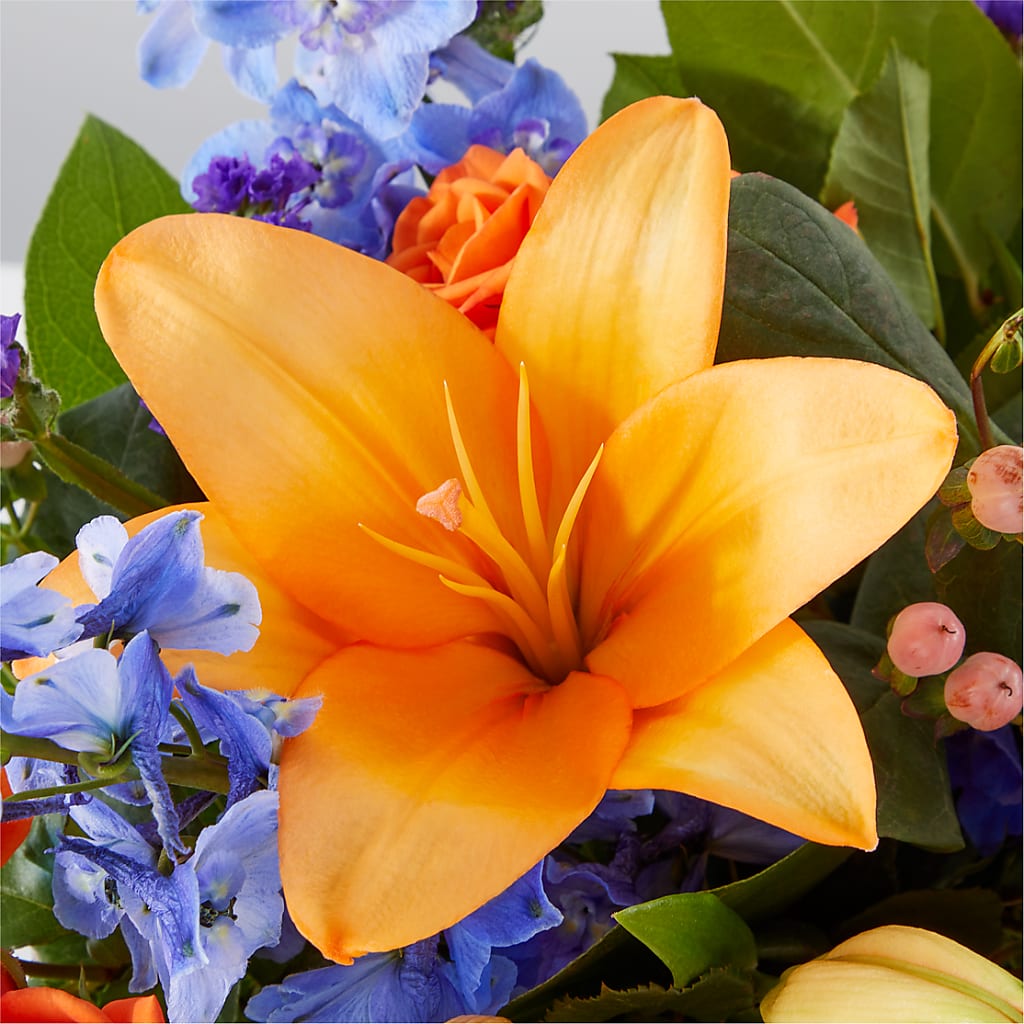 Radiant Citrus Box Bouquet – WARD'S FLORIST AND GREENHOUSE, Beverly MA