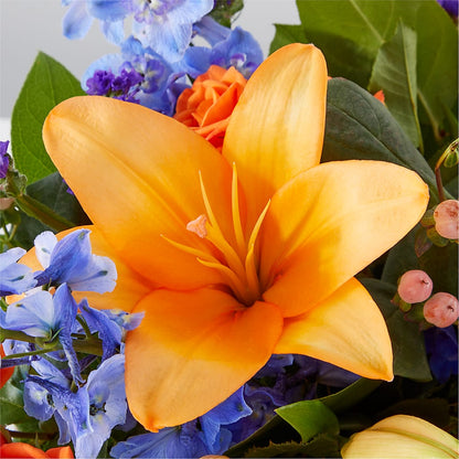 Radiant Citrus Box Bouquet – WARD'S FLORIST AND GREENHOUSE, Beverly MA
