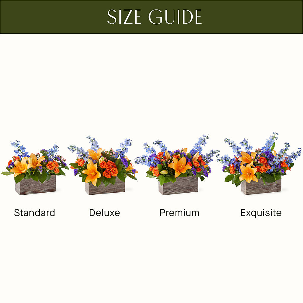 Radiant Citrus Box Bouquet – WARD'S FLORIST AND GREENHOUSE, Beverly MA