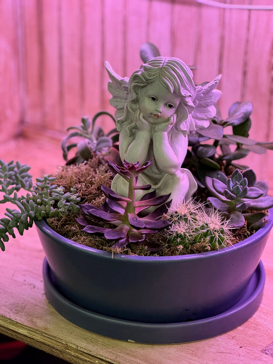 Angel of Serenity Succulent Garden