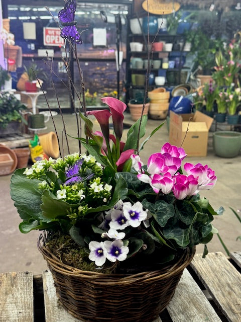 PURPLE GARDEN BASKET