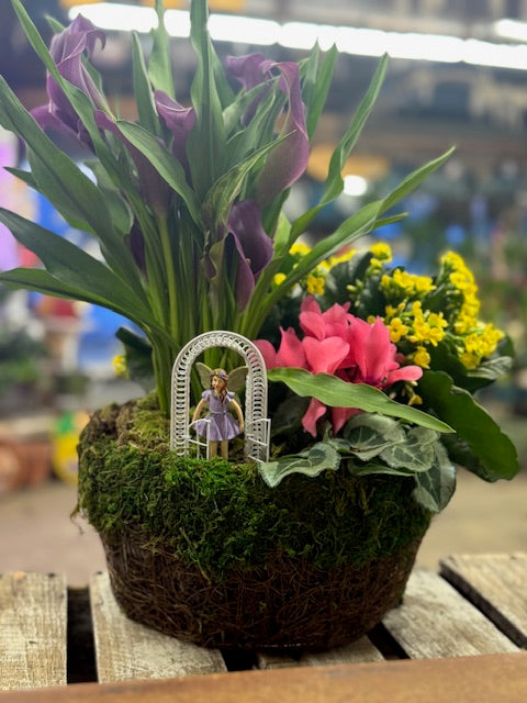 Violet Courtyard Garden