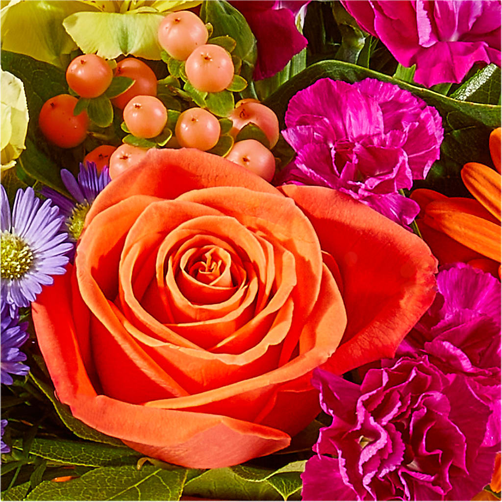 Tricks & Treats Pumpkin – WARD'S FLORIST AND GREENHOUSE, Beverly MA