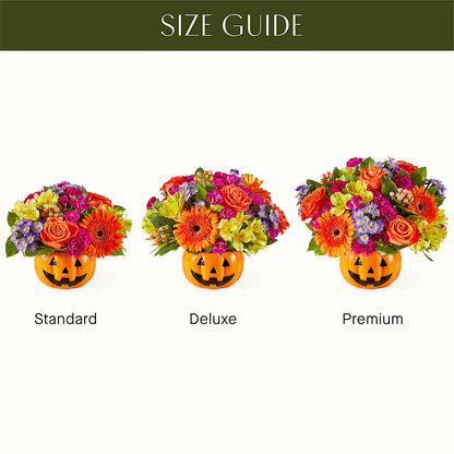 Tricks & Treats Pumpkin – WARD'S FLORIST AND GREENHOUSE, Beverly MA