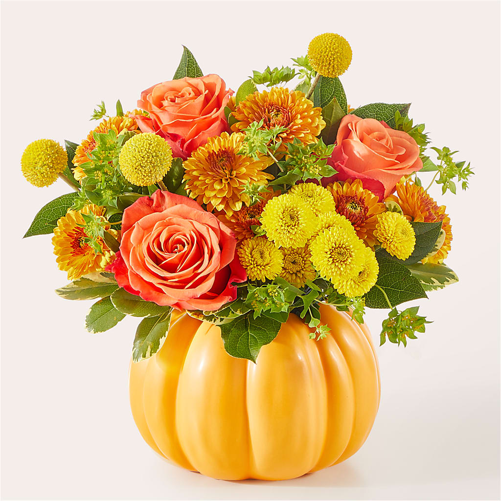 Gourdgeous Pumpkin – WARD'S FLORIST AND GREENHOUSE, Beverly MA