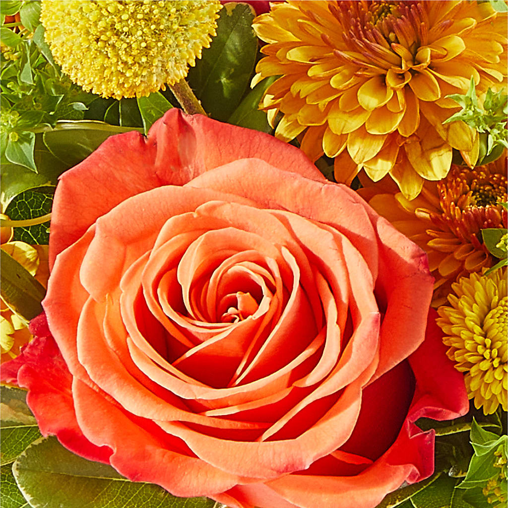 Gourdgeous Pumpkin – WARD'S FLORIST AND GREENHOUSE, Beverly MA