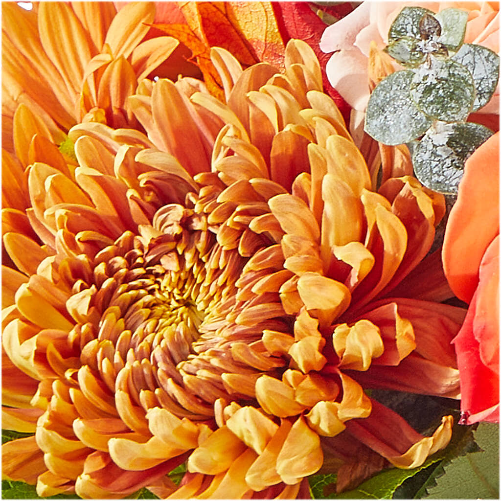 Scenic Route Bouquet – WARD'S FLORIST AND GREENHOUSE, Beverly MA