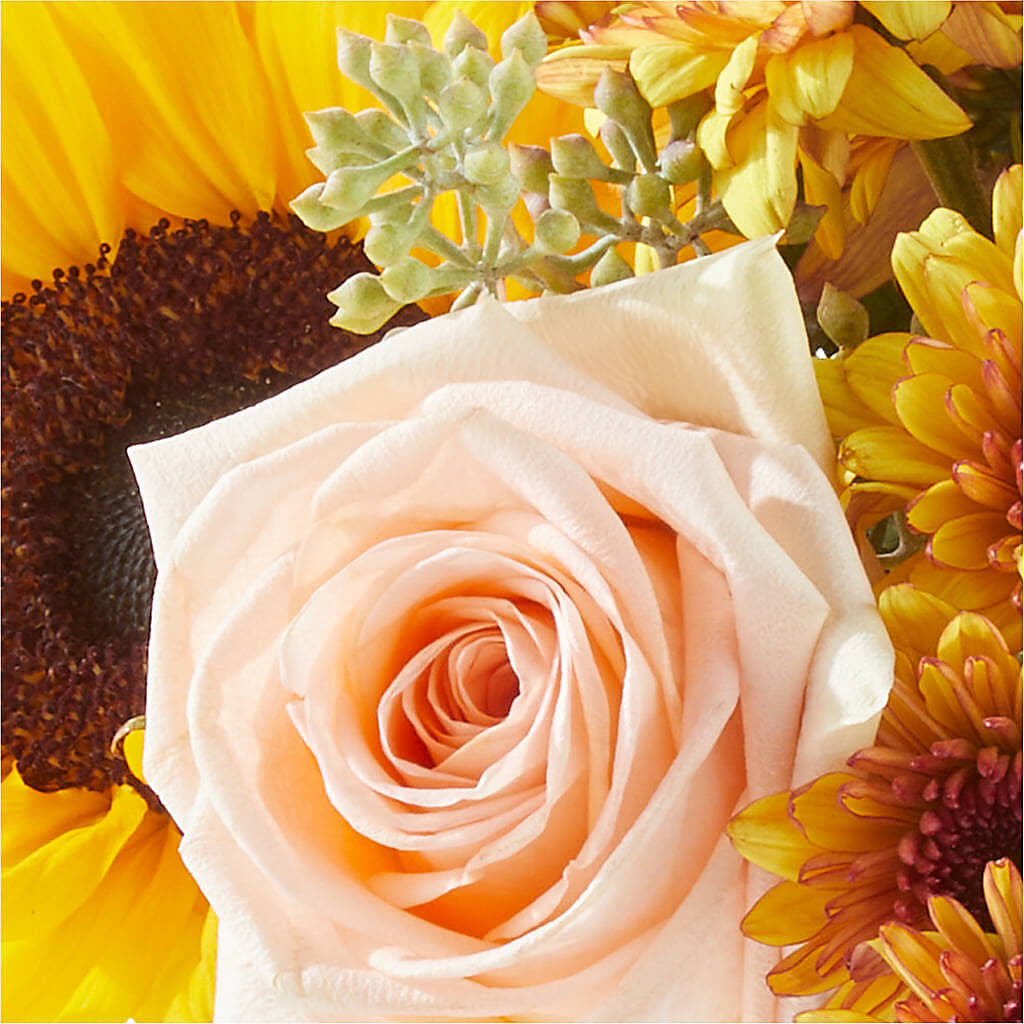Pumpkin to Talk About Bouquet – WARD'S FLORIST AND GREENHOUSE, Beverly MA